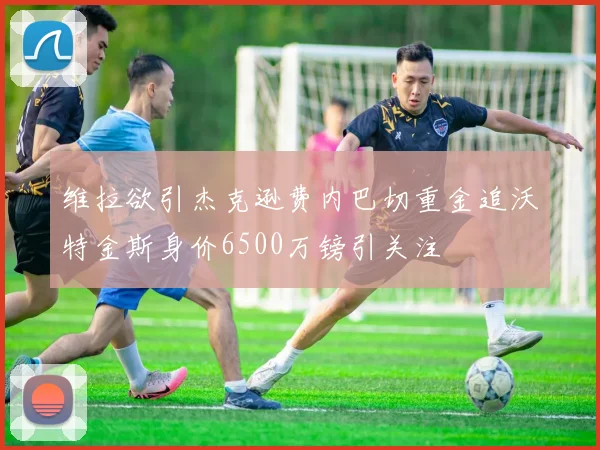 维拉欲引杰克逊费内巴切重金追沃特金斯身价6500万镑引关注