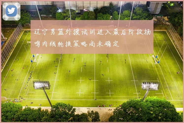 辽宁男篮外援试训进入最后阶段杨鸣内线轮换策略尚未确定